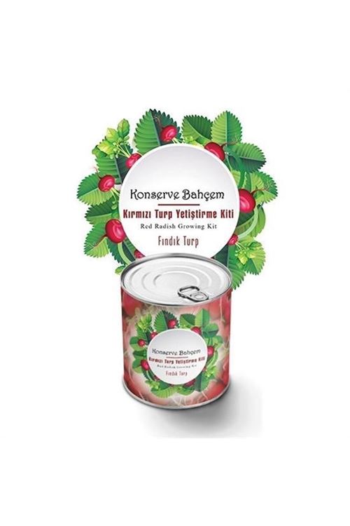 Tbl Dekor® Konserve Bahçem Evde Konservede Fındık Turp Yetiştirme Kiti