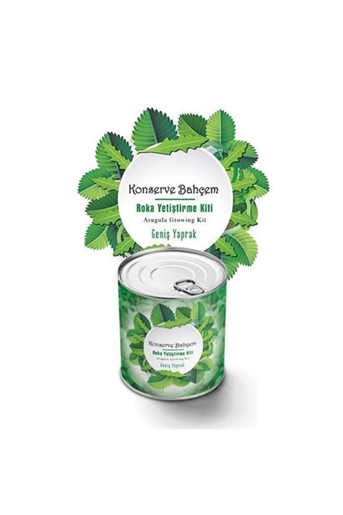 Tbl Dekor® Konserve Bahçem Evde Konservede İri Yapraklı Roka Yetiştirme Kiti