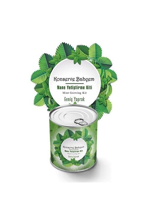 Tbl Dekor® Konserve Bahçem Nane Yetiştirme Kiti