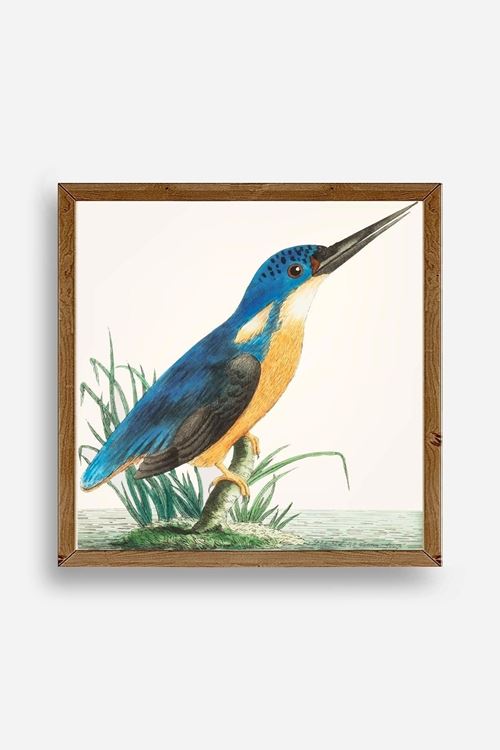 Kuş Ahşap Çerçeveli Tablo 50 x 50