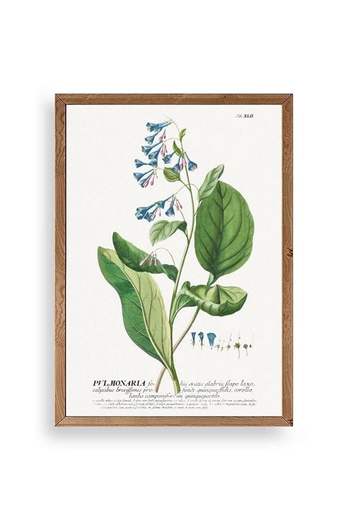 Stupell Ahşap Çerçeveli Tablo 30 x 42