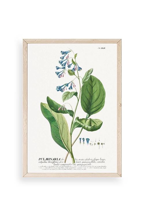 Stupell Ahşap Çerçeveli Tablo 23 x 30