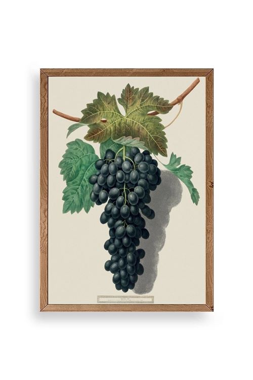 Üzüm Ahşap Çerçeveli Tablo 17 x 23