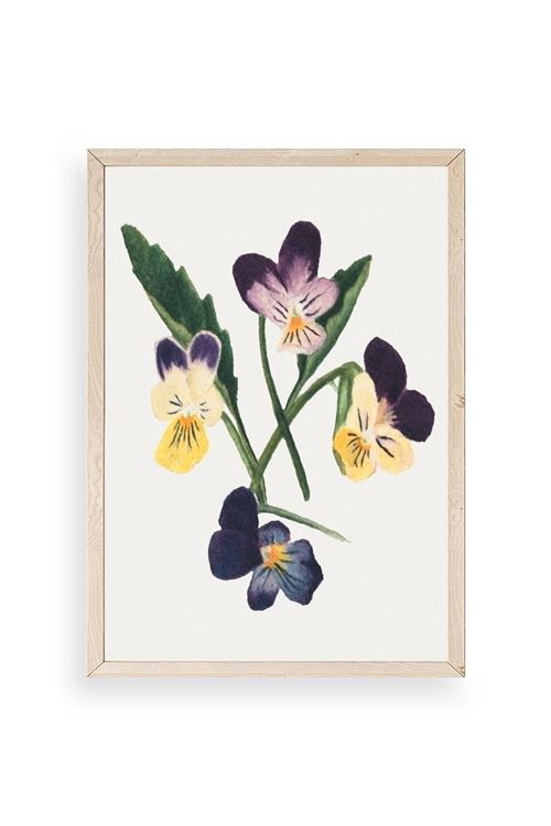 Çiçekler Ahşap Çerçeveli Tablo 30 x 42