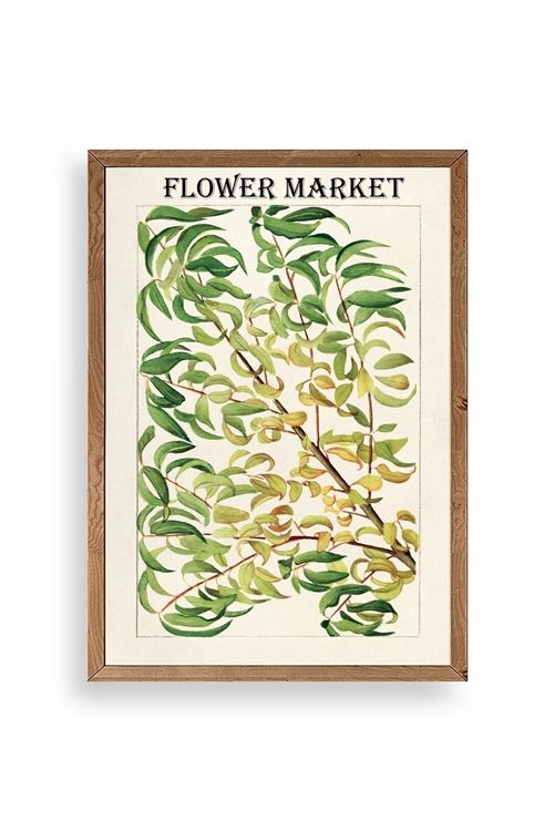 Grancica Breskve Ahşap Çerçeveli Tablo 23 x 30