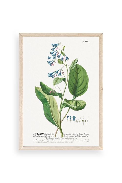 Pvlmonarla Ahşap Çerçeveli Tablo 30 x 42