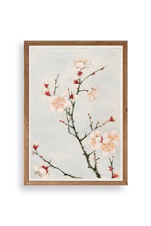 Cherry Blossom Ahşap Çerçeveli Tablo 17 x 23