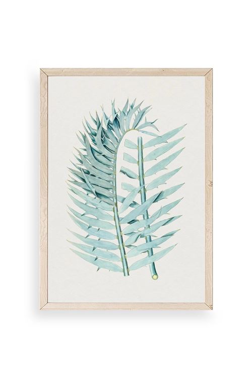 Yapraklar Ahşap Çerçeveli Tablo 30 x 42