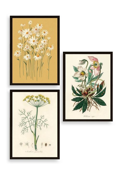 Çiçek Üçlü Ahşap Çerçeveli Tablo 23 x 30