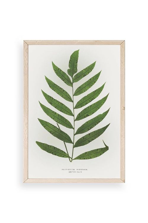 Yaprak Ahşap Çerçeveli Tablo 50 x 70