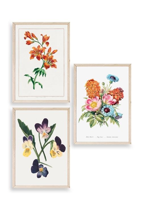 Çiçek Üçlü Ahşap Çerçeveli Tablo 50 x 70