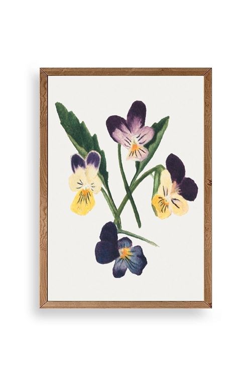 Çiçekler Ahşap Çerçeveli Tablo 23 x 30