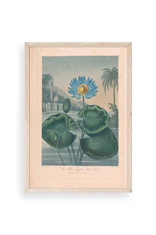 Joseph Constantine Ahşap Çerçeveli Tablo 23 x 30