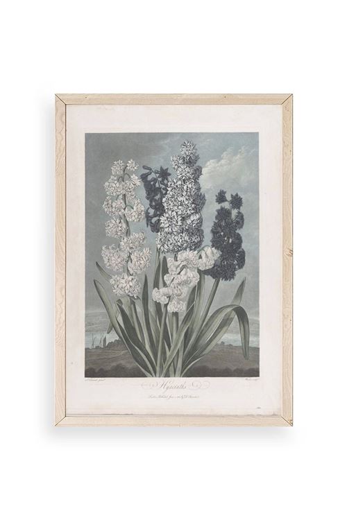 Legendarte Canvas Ahşap Çerçeveli Tablo 17 x 23