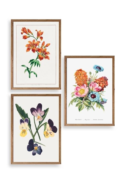 Çiçek Üçlü Ahşap Çerçeveli Tablo 50 x 70
