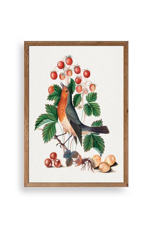 Daldaki Kuş Ahşap Çerçeveli Tablo 17 x 23