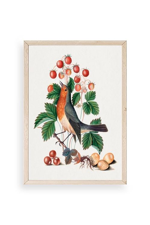 Daldaki Kuş Ahşap Çerçeveli Tablo 23 x 30