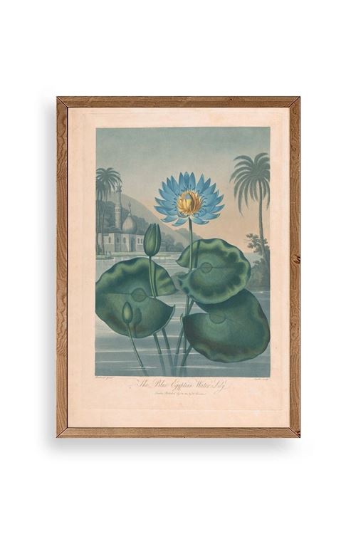 Joseph Constantine Ahşap Çerçeveli Tablo 23 x 30