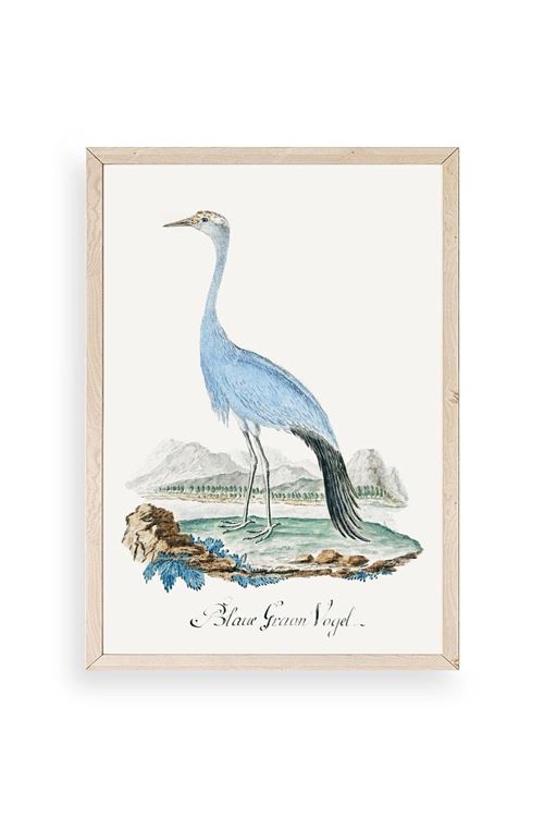 Blaue G. Voyel Ahşap Çerçeveli Tablo 17 x 23