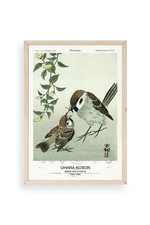 Kuşlar Ahşap Çerçeveli Tablo 17 x 23