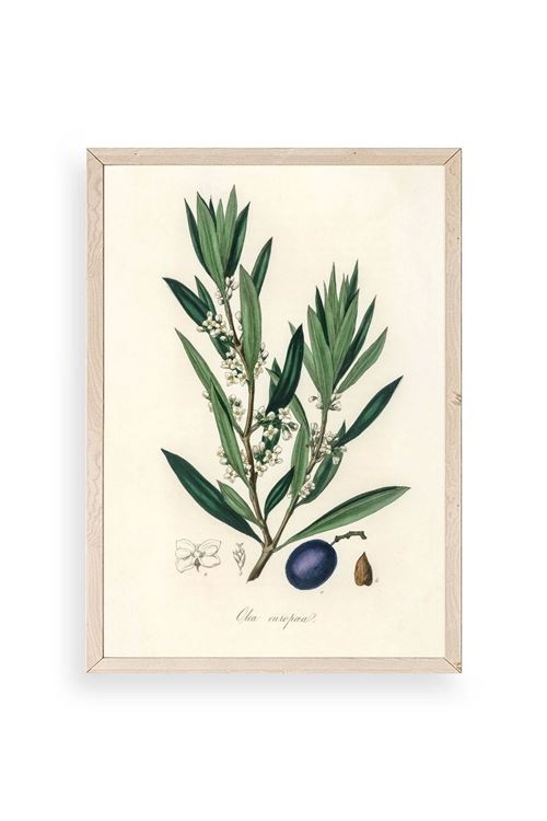 Yaprak Ahşap Çerçeveli Tablo 30 x 42