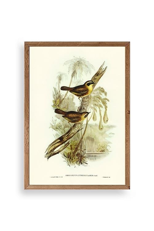 Kuşlar Ahşap Çerçeveli Tablo 23 x 30