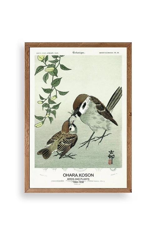 Kuşlar Ahşap Çerçeveli Tablo 23 x 30