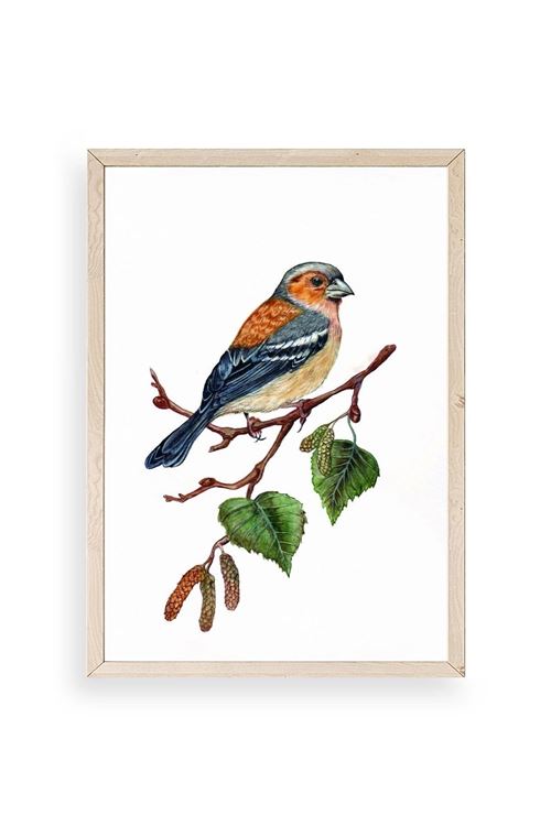 Kuş Ahşap Çerçeveli Tablo 30 x 42