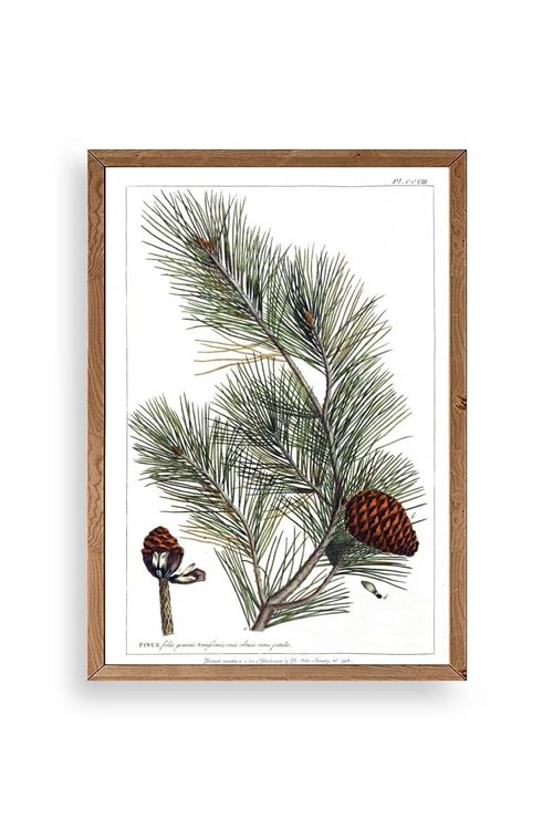 Çam Ahşap Çerçeveli Tablo 23 x 30