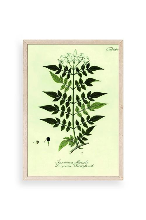 Yapraklar Ahşap Çerçeveli Tablo 17 x 23