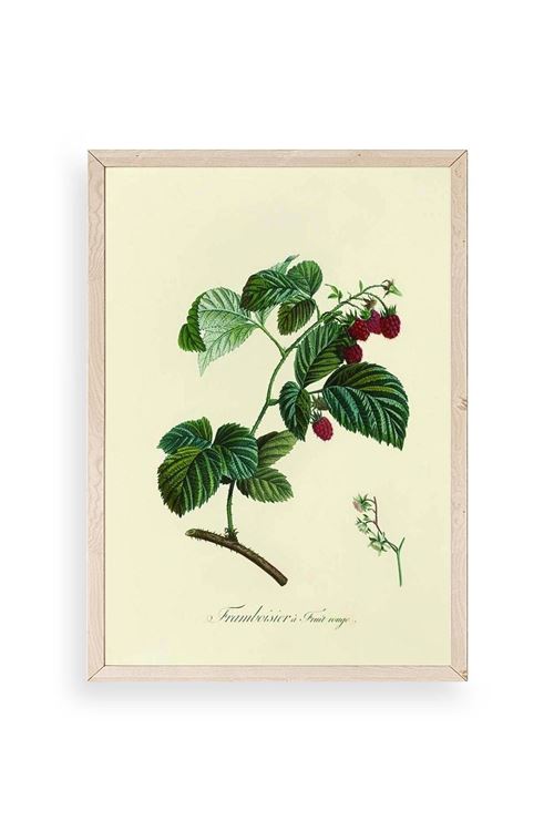 Yaprak Ahşap Çerçeveli Tablo 23 x 30