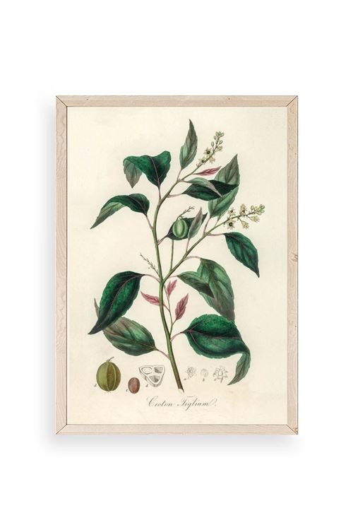 Yaprak Ahşap Çerçeveli Tablo 30 x 42