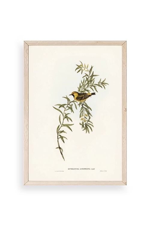 Daldaki Kuş Ahşap Çerçeveli Tablo 30 x 42