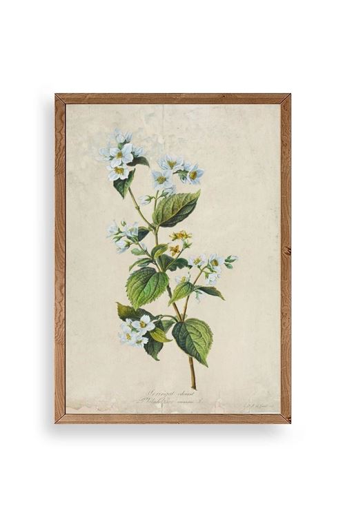 Çiçek Ahşap Çerçeveli Tablo 17 x 23