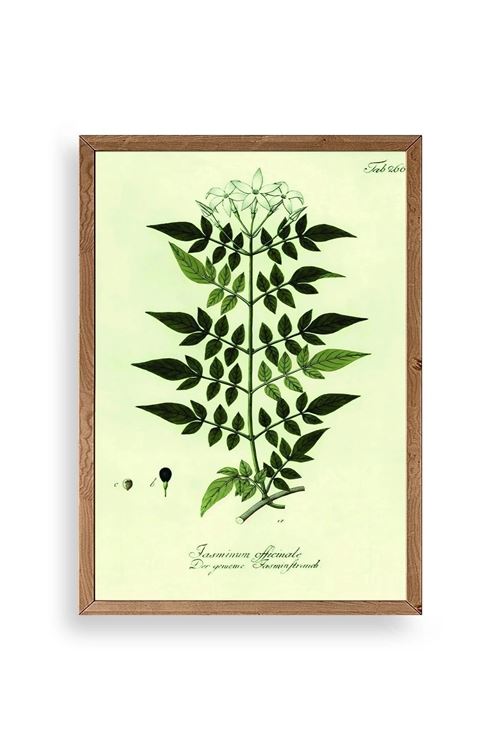 Yapraklar Ahşap Çerçeveli Tablo 23 x 30