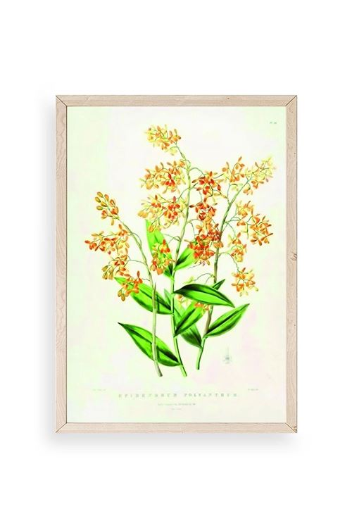 Çiçek Ahşap Çerçeveli Tablo 17 x 23