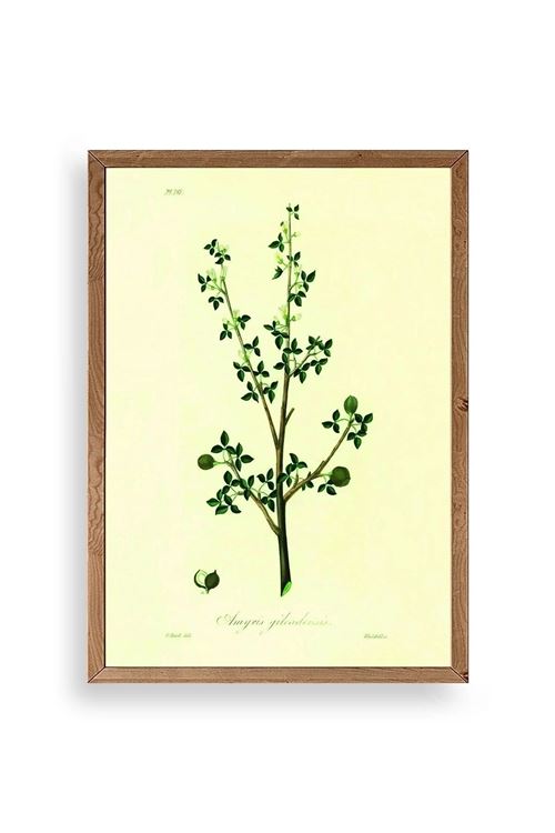 Yapraklar Ahşap Çerçeveli Tablo 50 x 70