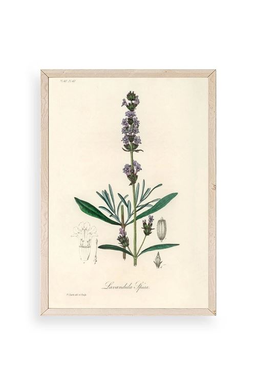 Yaprak Ahşap Çerçeveli Tablo 23 x 30