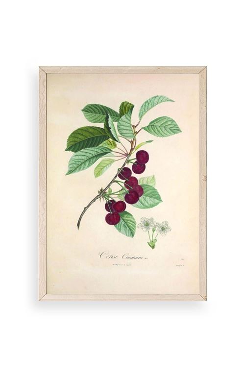 Meyveler Ahşap Çerçeveli Tablo 23 x 30