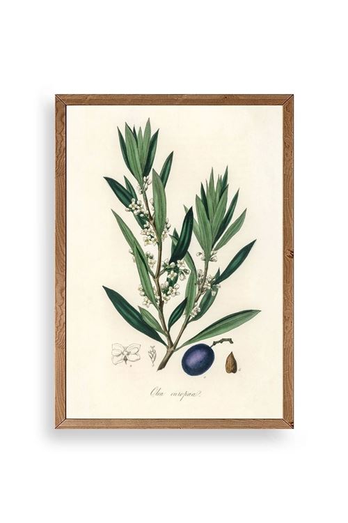 Yaprak Ahşap Çerçeveli Tablo 50 x 70