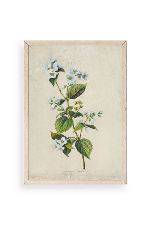 Çiçek Ahşap Çerçeveli Tablo 23 x 30