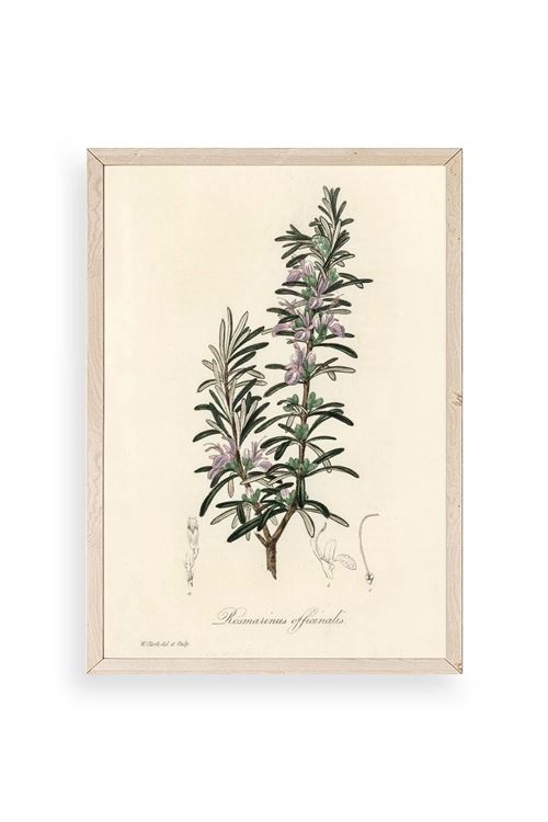 Yaprak Ahşap Çerçeveli Tablo 50 x 70