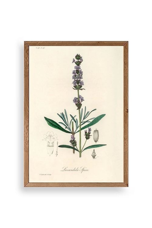 Yaprak Ahşap Çerçeveli Tablo 30 x 42