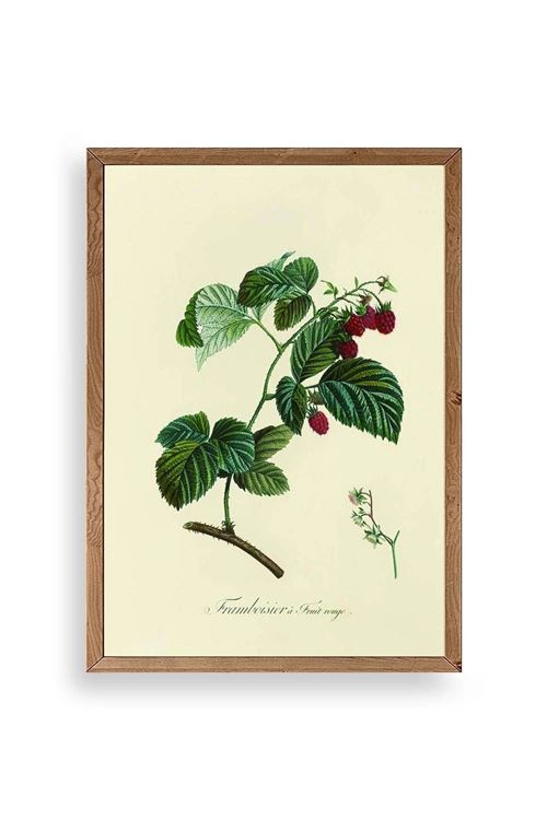 Yaprak Ahşap Çerçeveli Tablo 50 x 70