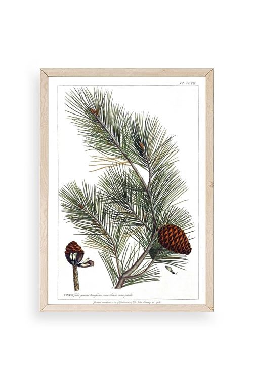 Çam Ahşap Çerçeveli Tablo 17 x 23