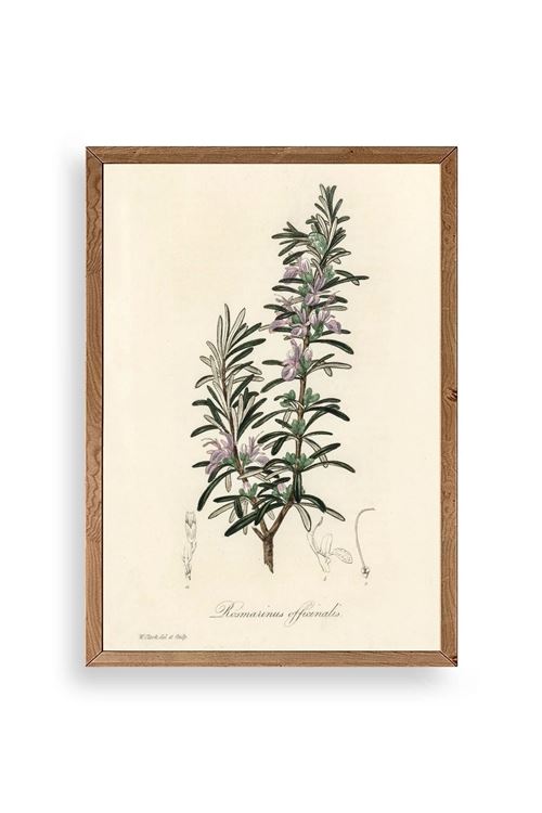 Yaprak Ahşap Çerçeveli Tablo 23 x 30