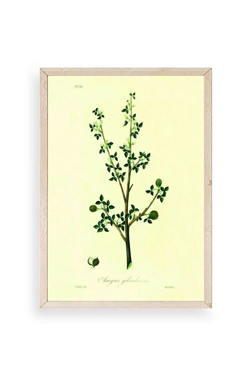 Yapraklar Ahşap Çerçeveli Tablo 30 x 42