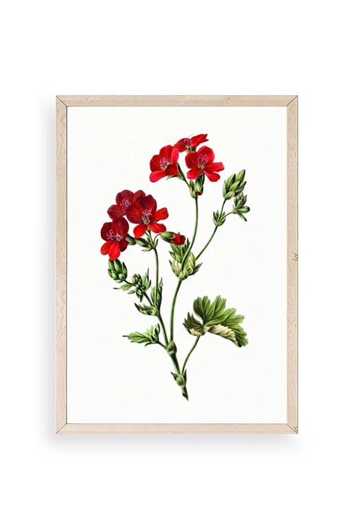 Çiçekler Ahşap Çerçeveli Tablo 30 x 42