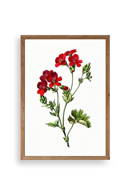 Çiçekler Ahşap Çerçeveli Tablo 50 x 70