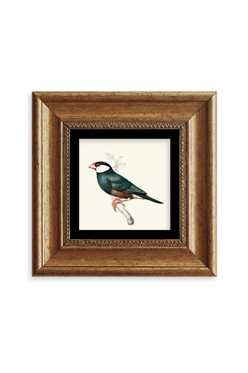 Yeşil Kuş Çerçeveli Taş Tablo 20 cm